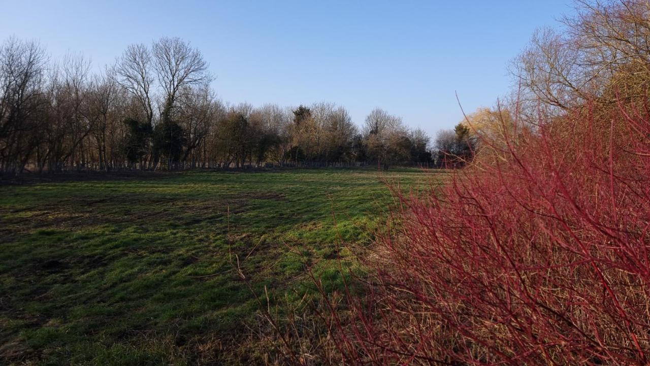 West Farm Cottage Godmanchester Екстериор снимка