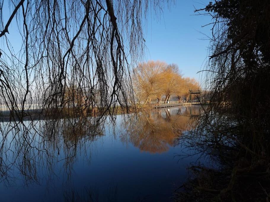 West Farm Cottage Godmanchester Екстериор снимка